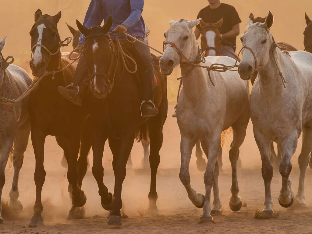 17 of the Best Places to do Farm Work in Australia