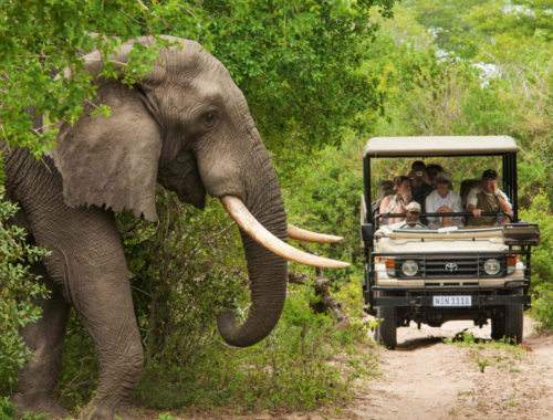 Save £50 when you do two or more projects in South Africa