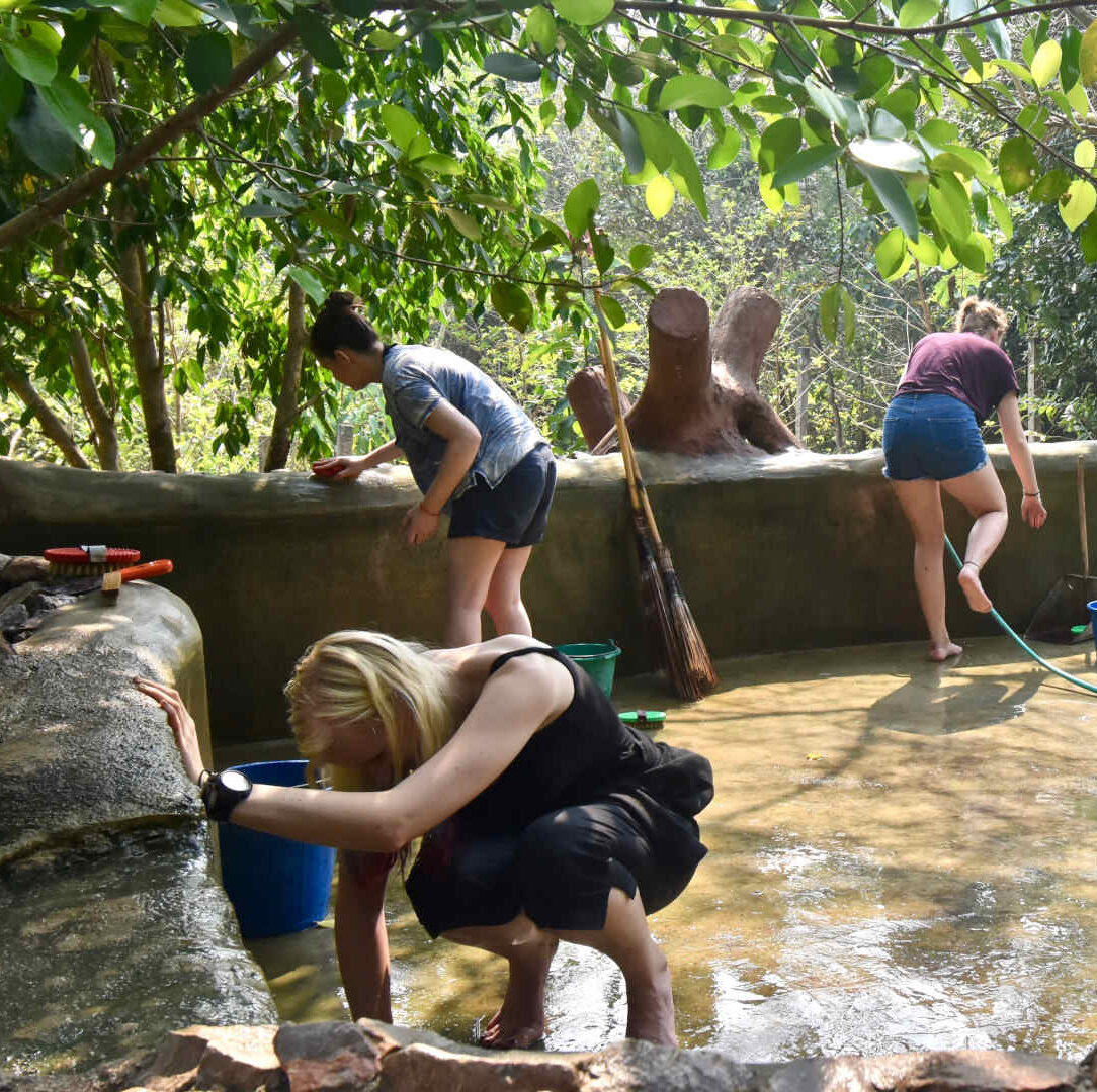 A group of volunteers laugh and chat as they hose out an enclosure