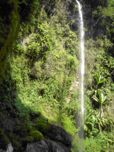 Tanzania waterfalls