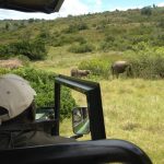 Monitoring wildlife in the game reserve on the game ranger course