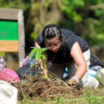 A volunteer helps to regrow the rainforest