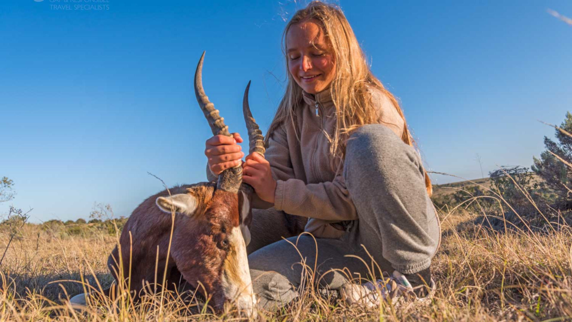 Veterinary experience in South Africa - Oyster