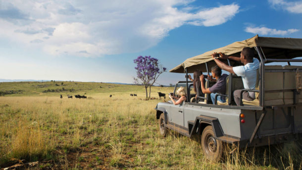 A group of volunteers observe Africa animals from a distance in a game vehicle