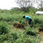 A volunteer does some conservation work in Sri Lanka