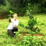 A volunteer plants an orange tree as a natural barrier for elephants