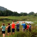 Volunteers monitor elephants in Sri Lanka