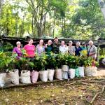 Volunteers help with growing saplings