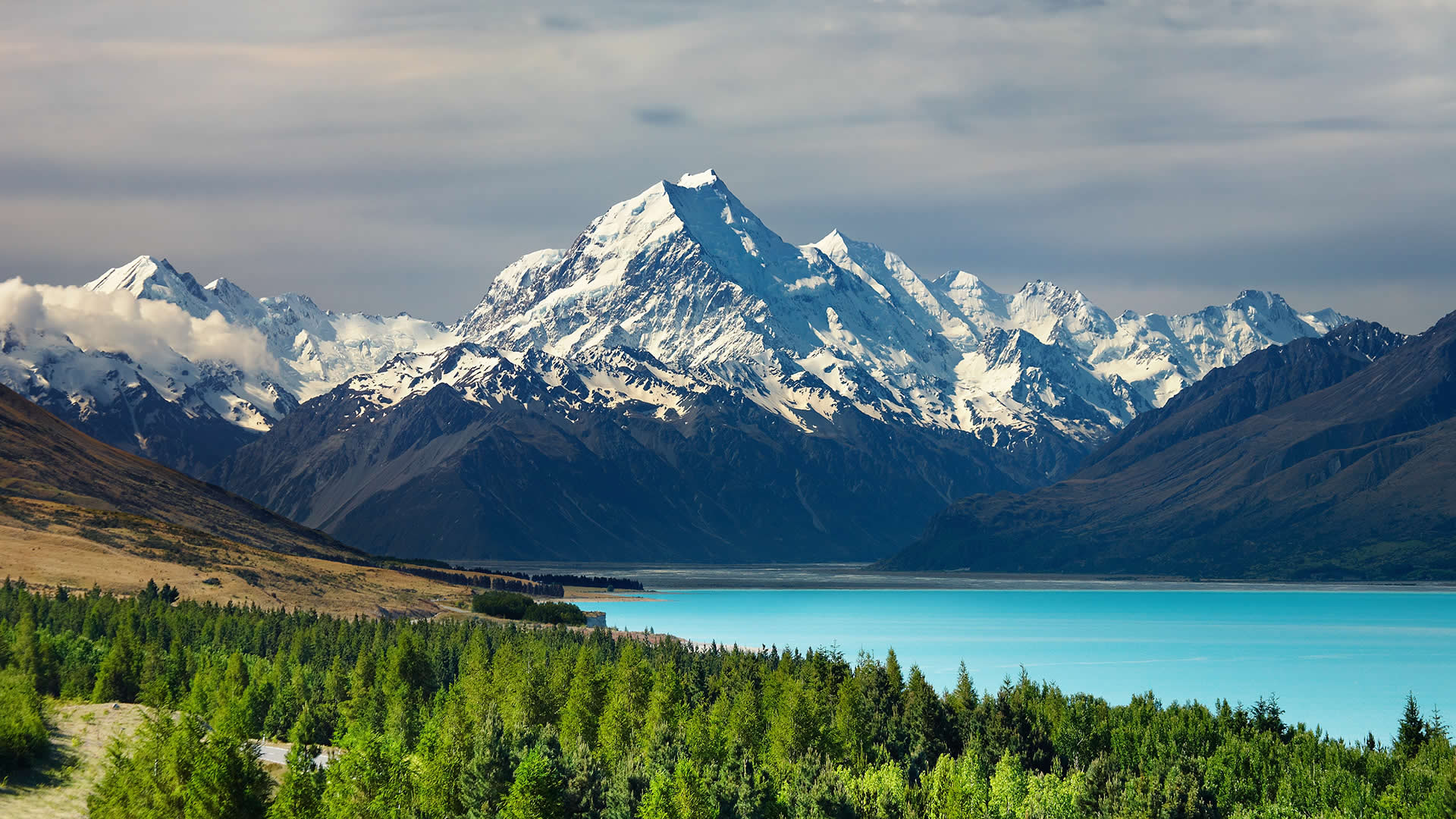 Work in New Zealand and experience Maori Culture - Oyster