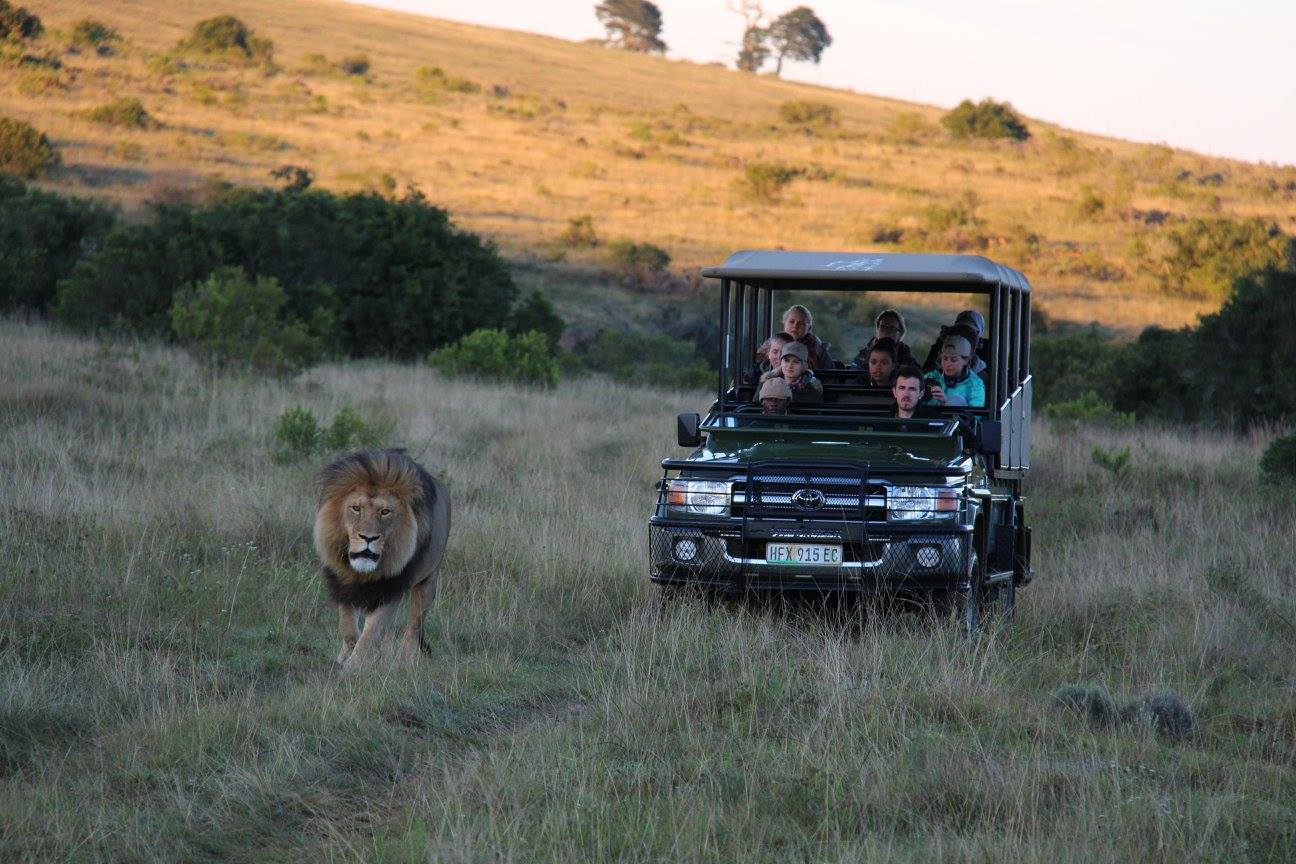 2017 game ranger course dates released Oyster Worldwide