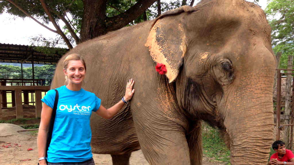 A volunteer enjoys meeting the elephants