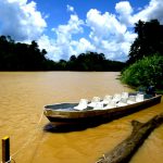 A boat on the Kinabatangan River