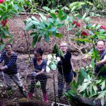 Volunteers planting trees