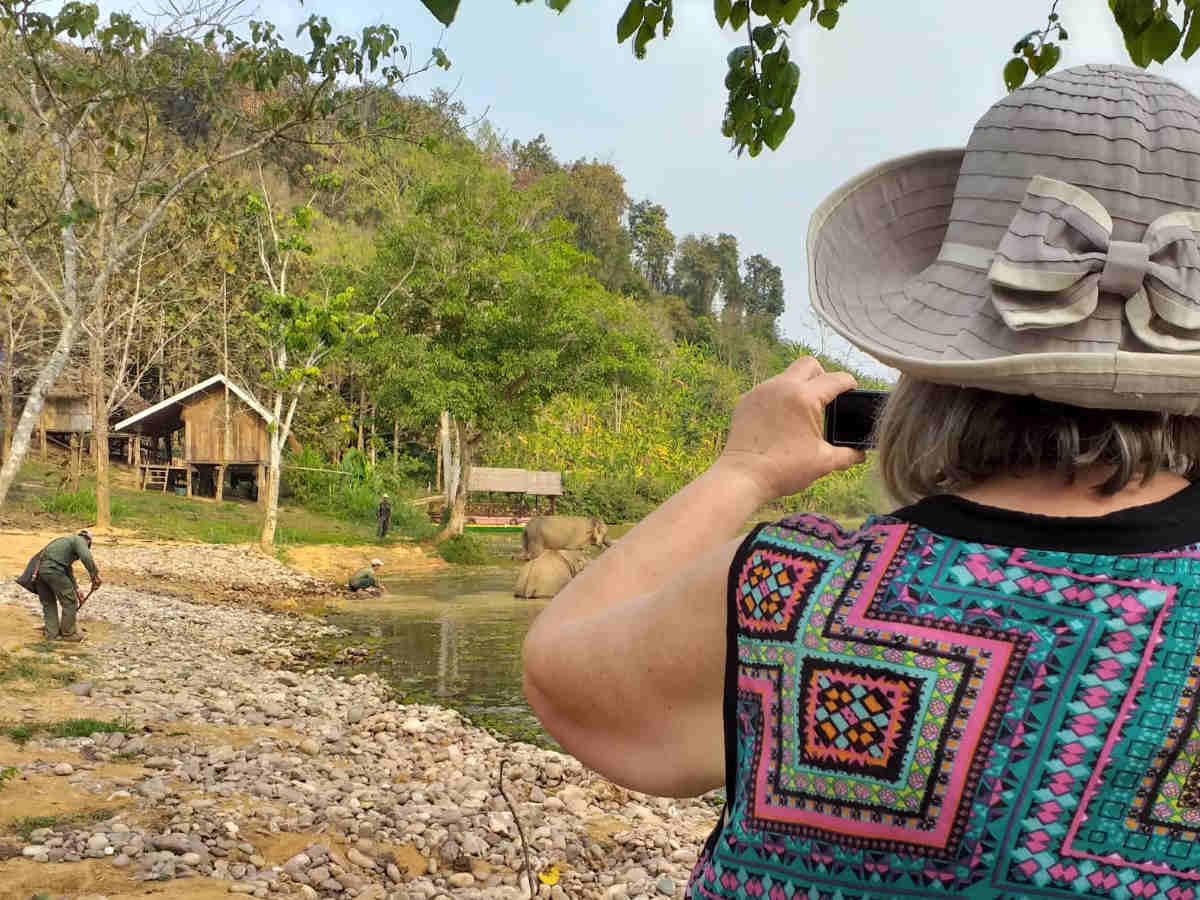 A volunteer enjoys watching the elephants bathe