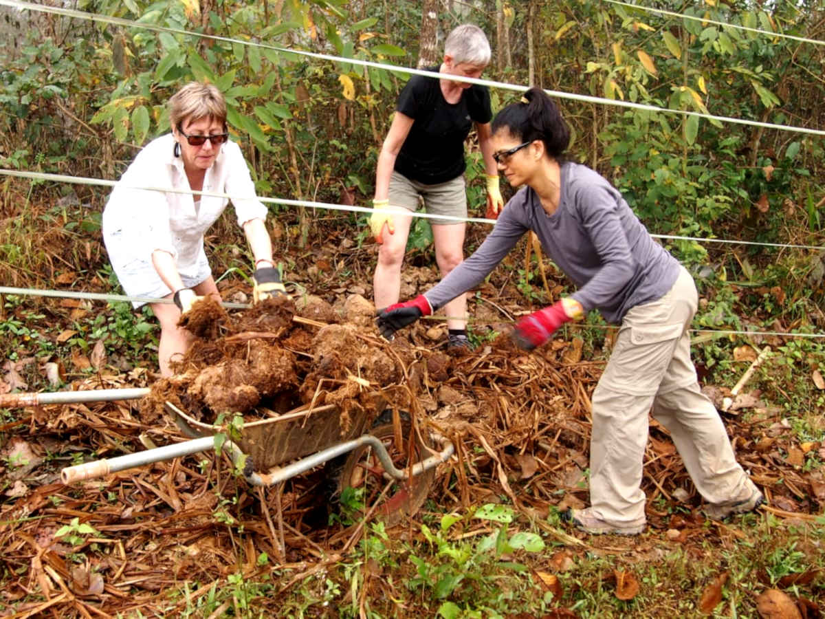 Volunteers help to collect dung at the elephant rescue centre