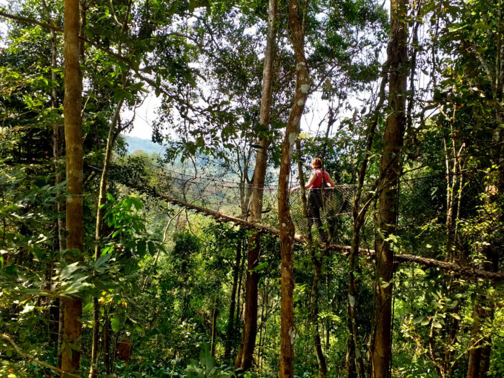 A volunteer explores the elephant sanctuary in Laos