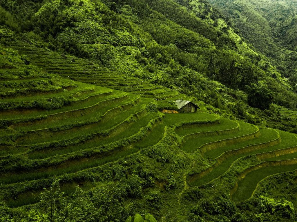 Everything You Need to Know to Go Backpacking in South East Asia