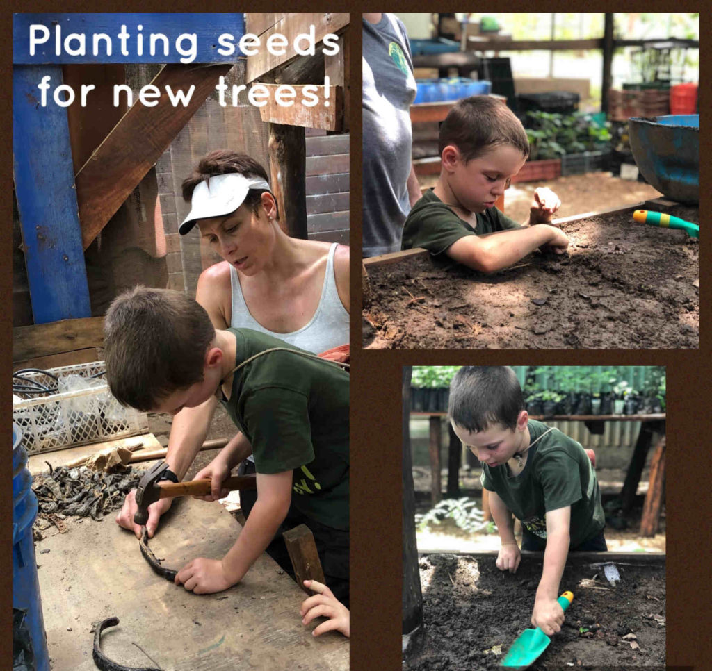 A mother and her children plant seeds for new trees