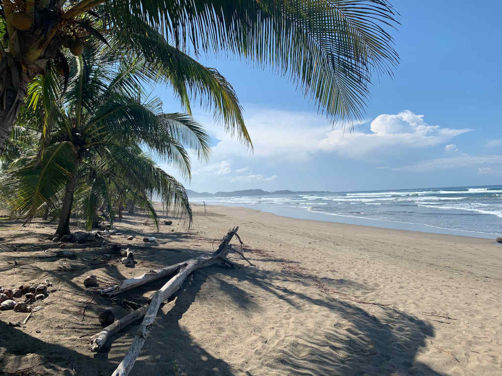 Beach where the turtle conservation project in Costa RIca takes place