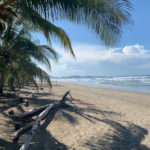 Beach where the turtle conservation project in Costa RIca takes place