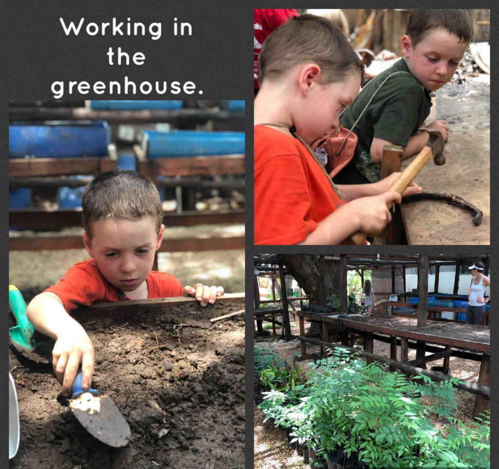 Kids helping with conservation on their family volunteering holiday