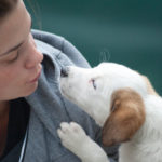 Puppy and a girl looking at each other