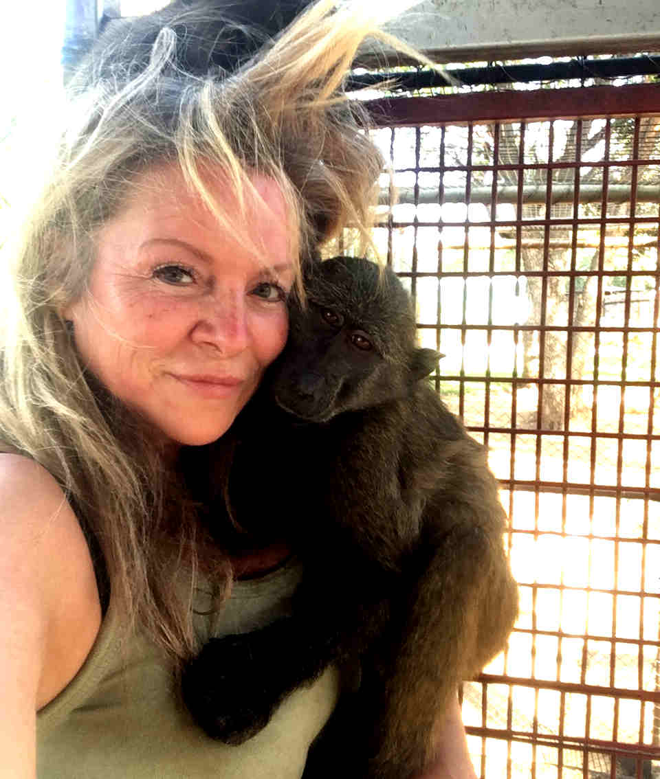 Volunteer at the monkey rescue centre in South Africa