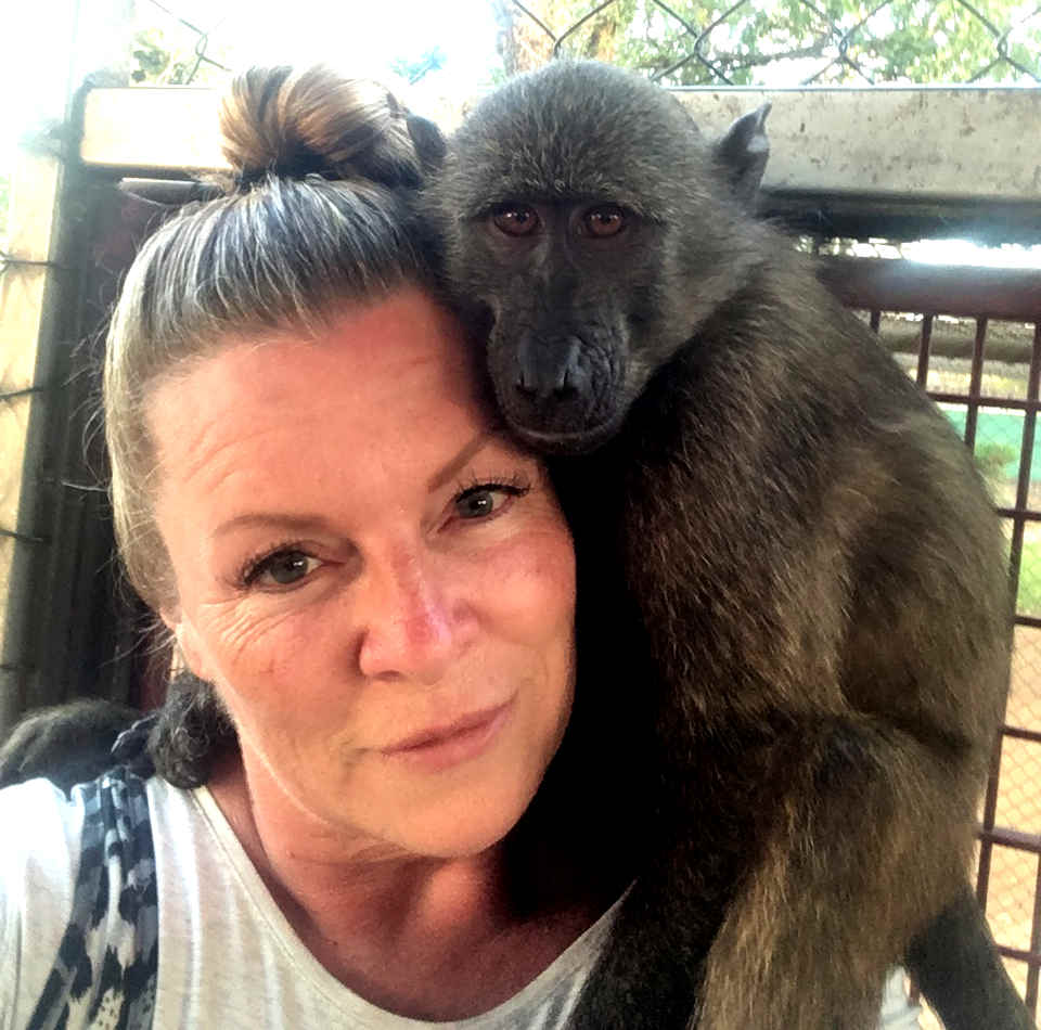 A volunteer spends time with a primate a the monkey rescue centre in South Africa