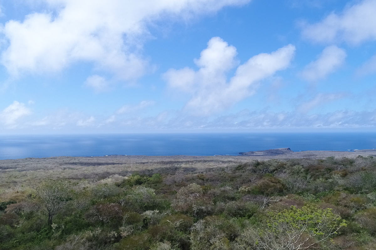 The beautiful view over San Cristobal Island from the conservation project