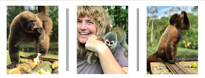 A volunteer helping with monkey rehabilitation in Ecuador