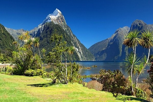 New Zealand National Park