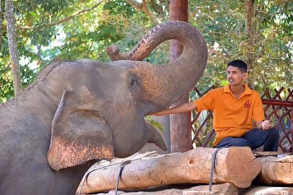 Sri Lanka Elephant Sanctuary