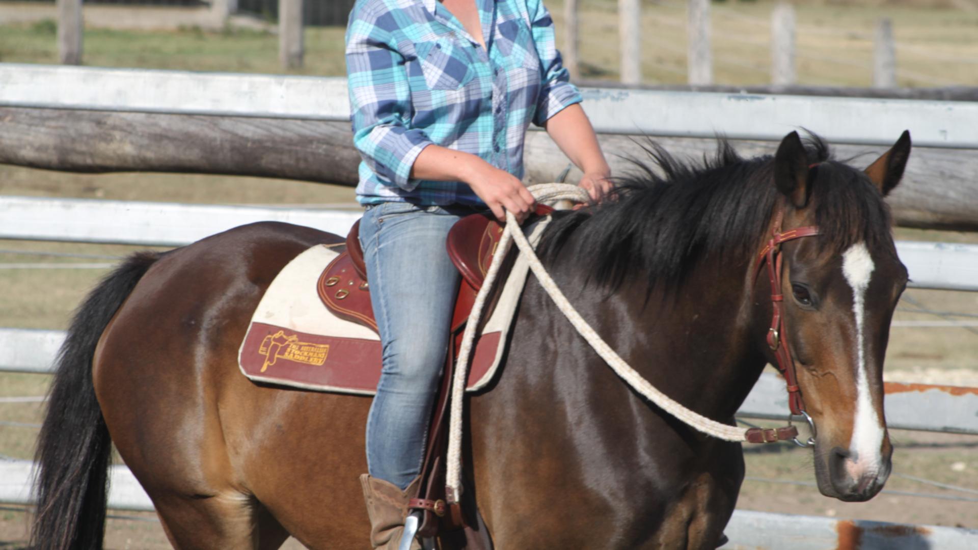 Prj Horses schooling paidwork.jpg