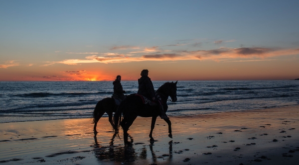 Sunset Horse Ride