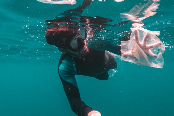 Marine Conservation Diver