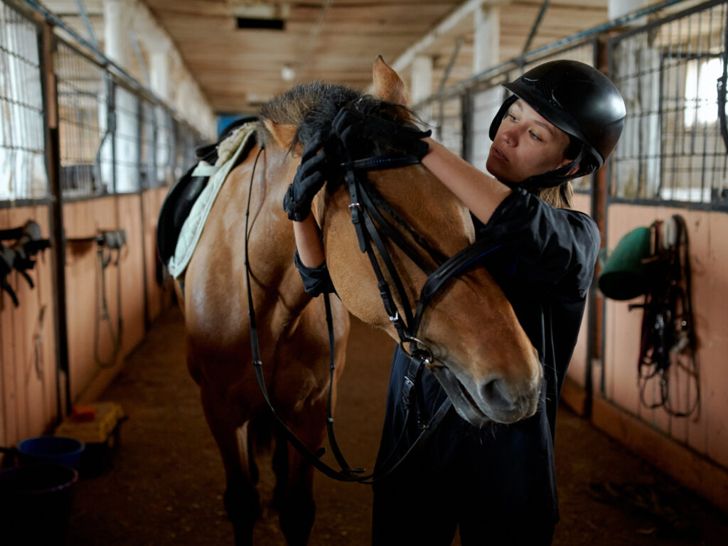 Oyster Reviews: Volunteer with horses in Portugal