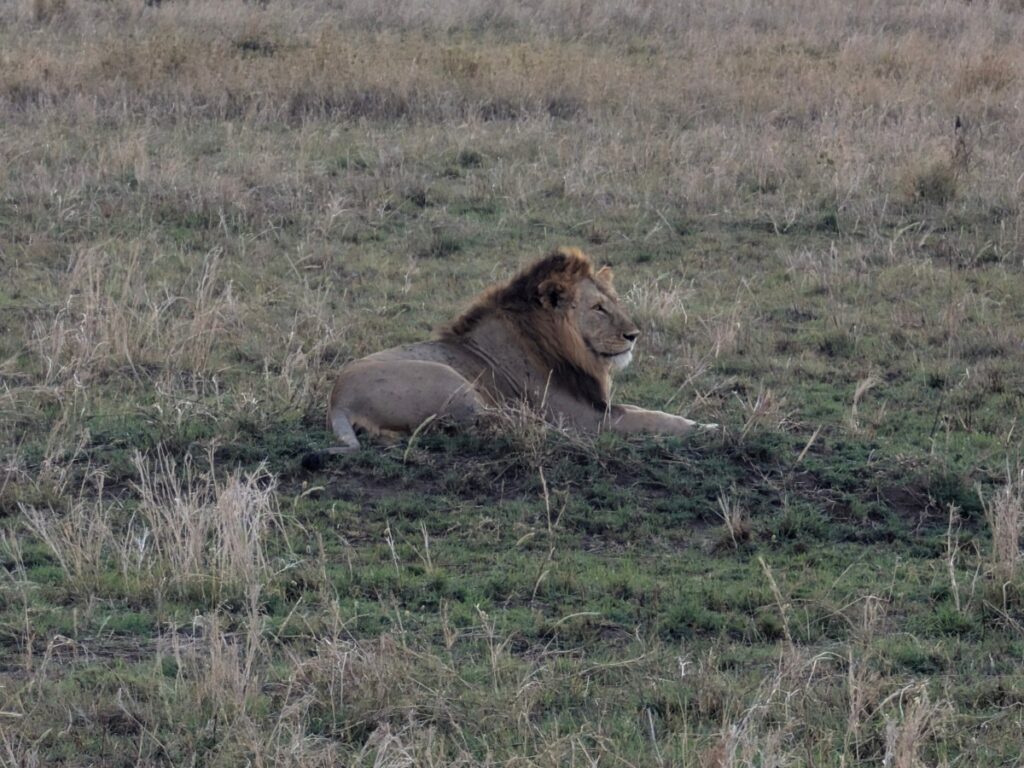 Tanzania and East Africa