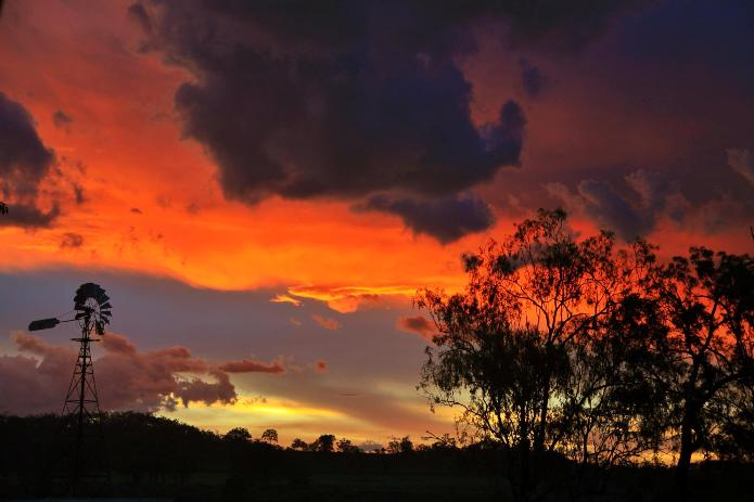 Australian sunset with windmill and trees in silhouette 