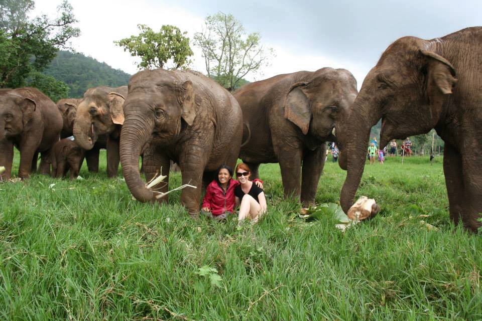 Animal-friendly tourism