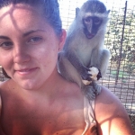 Volunteering with monkeys in South Africa