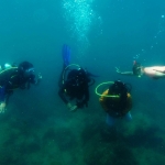 Diving career break