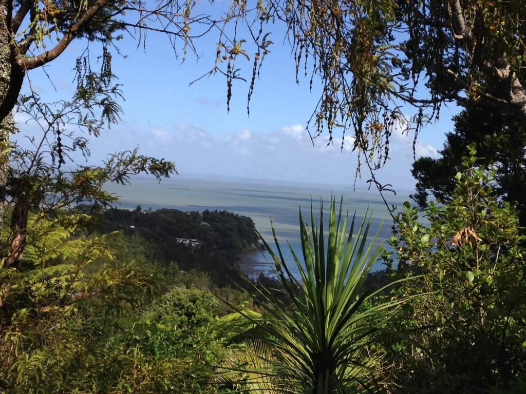 Auckland conservation project