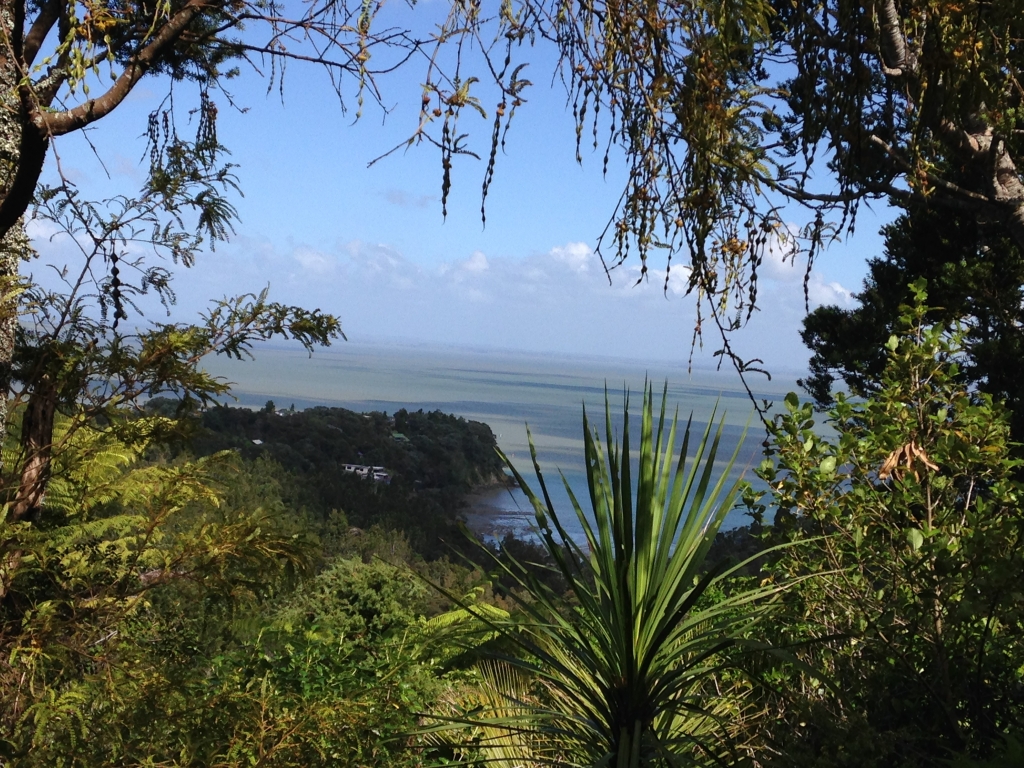 Auckland conservation project