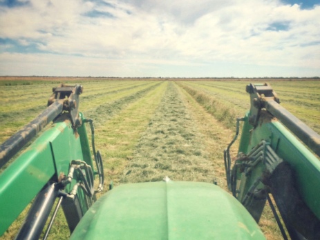 Sitting in the tractor with the view of a paddock between the fork heads 