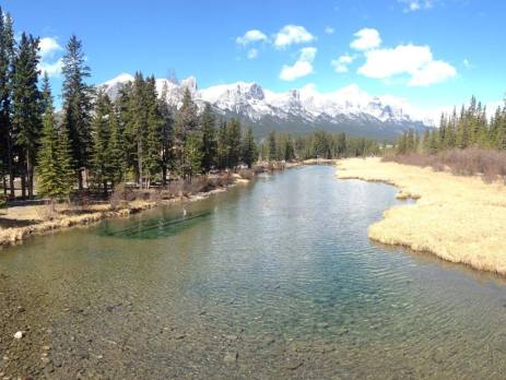 Canmore river view from bridge with trees and mountains on sunny day