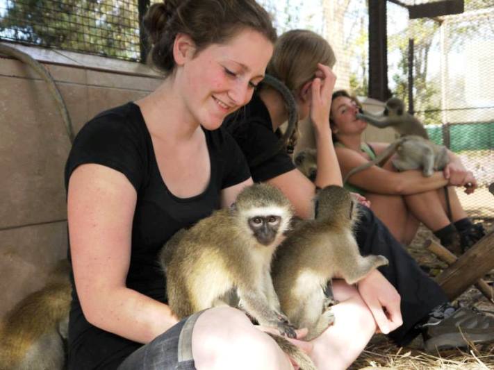 Oyster volunteers working with monkeys in South Africa