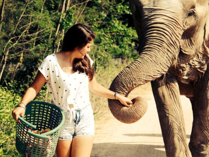 Oyster volunteer caring for elephants in Thailand