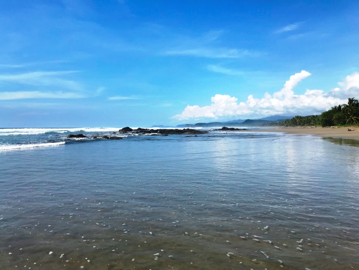 The beautiful sea turtle conservation beach in Costa Rica