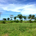 The beach in Costa Rica