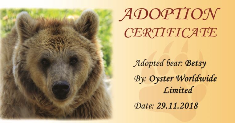Betsy, the new member of the Oyster volunteer family